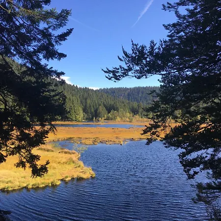 Le Bleu Du Sauna Et * Gérardmer