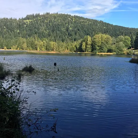 Le Bleu Du Sauna Et * ジェラールメ