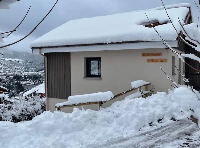 Le Bleu Du Sauna Et Gérardmer