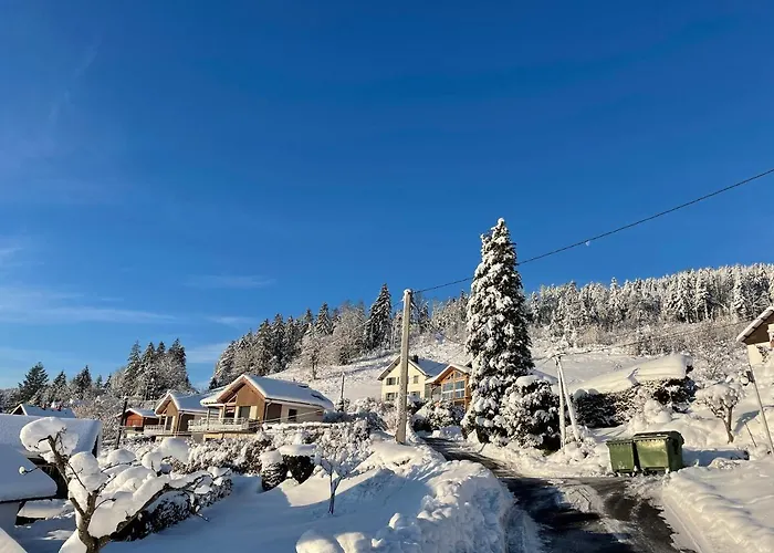 Chalet Le Bleu Du Sauna Et Gerardmer