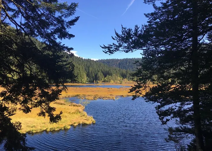 Le Bleu Du Sauna Et * Gerardmer