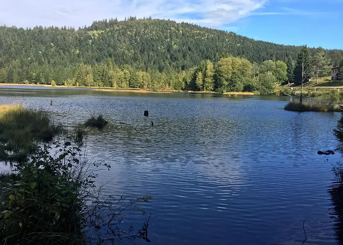 Le Bleu Du Sauna Et * Gerardmer