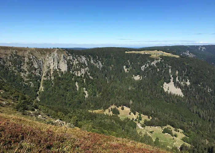 Le Bleu Du Sauna Et Chalet